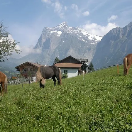 Vor Dem Holz Bed & Breakfast 3*