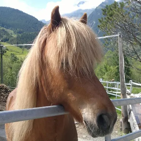 Vor Dem Holz 3* Grindelwald